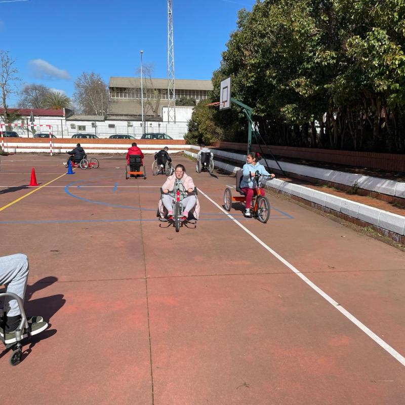 C.E.E. ANTONIO TOMILLO | Federaci�n Extreme�a de Deportes para personas con Discapacidad F�sica