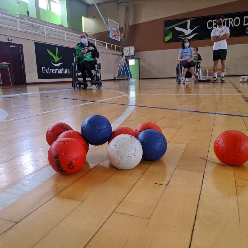 Boccia | Federaci�n Extreme�a de Deportes para personas con Discapacidad F�sica