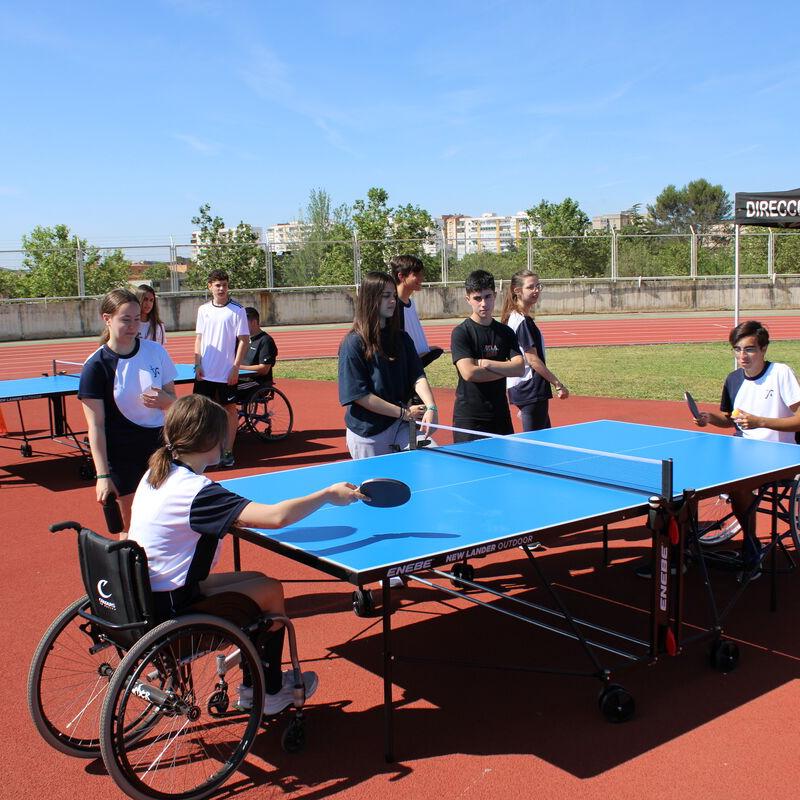 Programa DIE | Federaci�n Extreme�a de Deportes para personas con Discapacidad F�sica