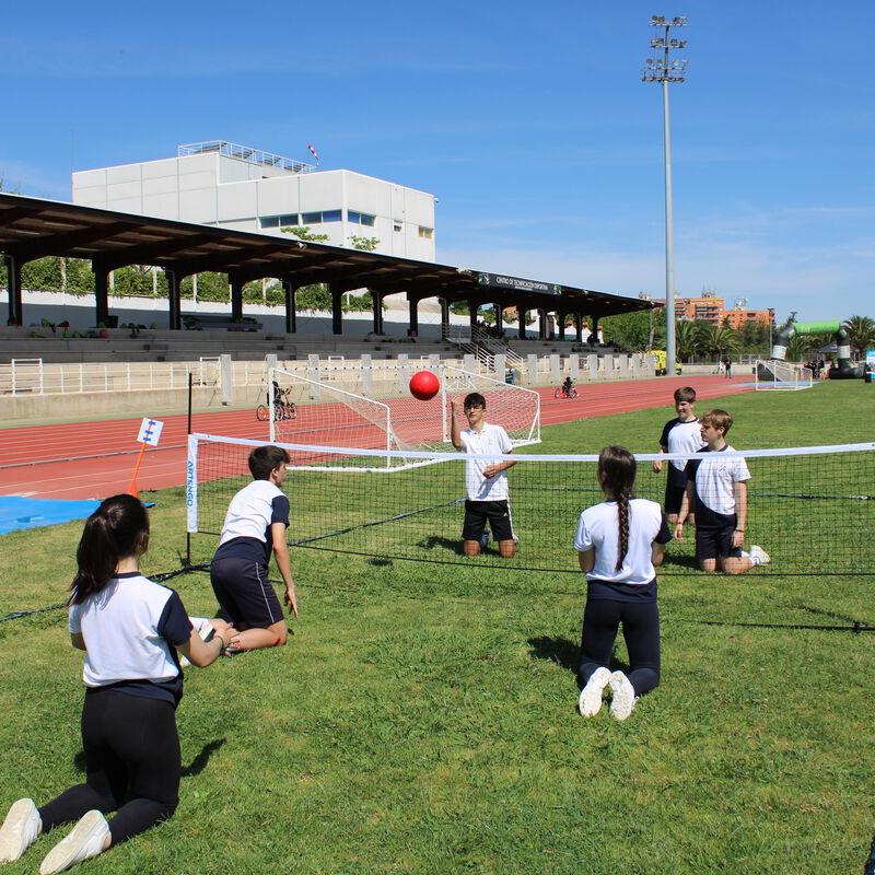 Programa DIE | Federaci�n Extreme�a de Deportes para personas con Discapacidad F�sica